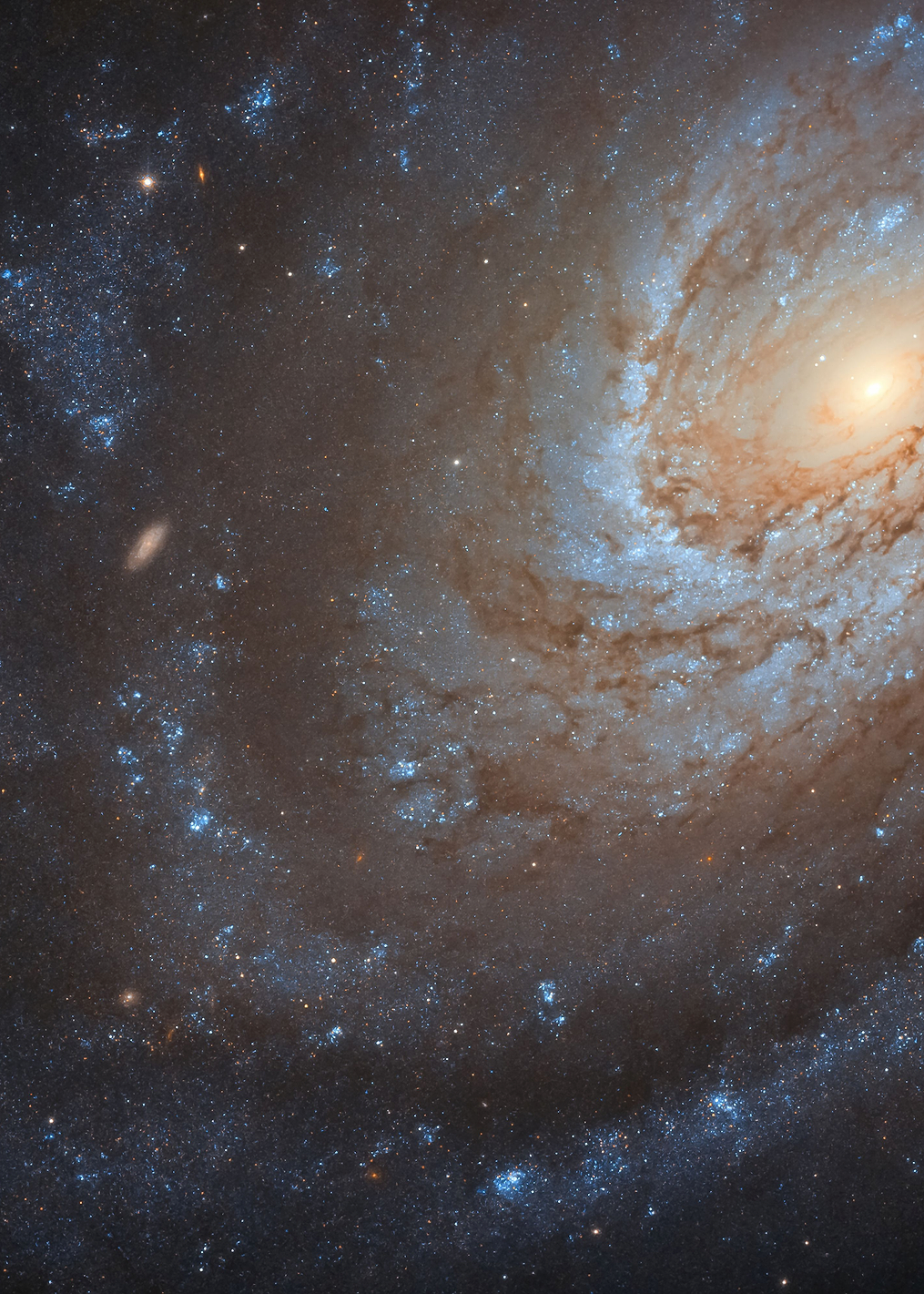 NGC 4651 galaxy: постер из коллекции Inspired by NASA