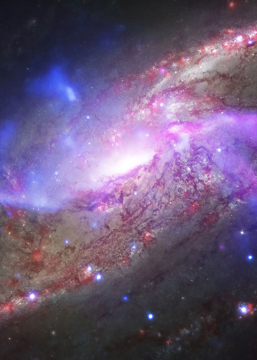 NGC 4258 galaxy: постер из коллекции Inspired by NASA
