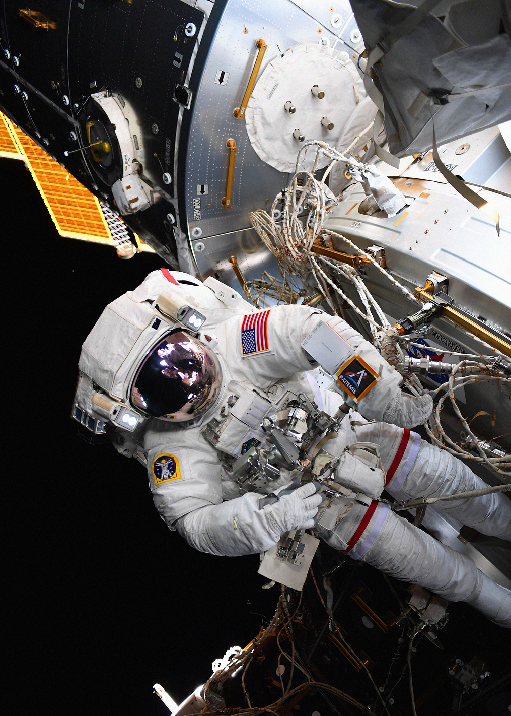 Artemis Program: постер из коллекции Inspired by NASA