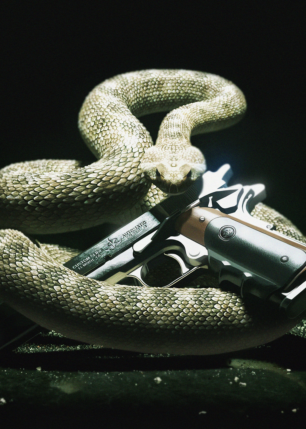Diamondback: постер из коллекции Hitman