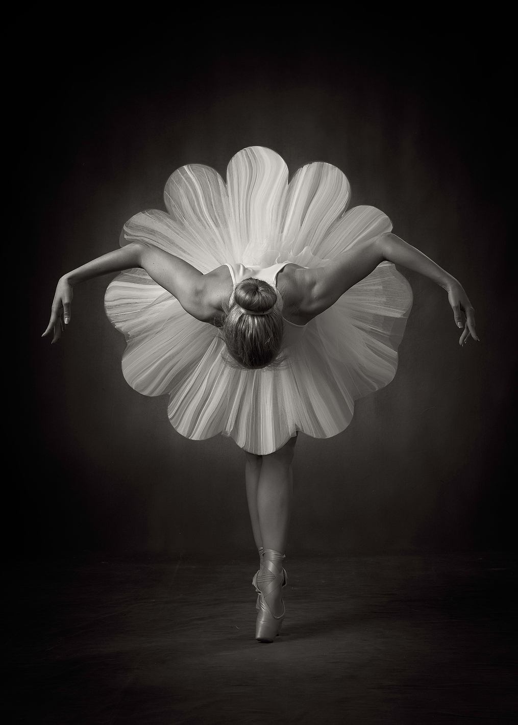 Floral Ballet: постер из коллекции World Class Photos