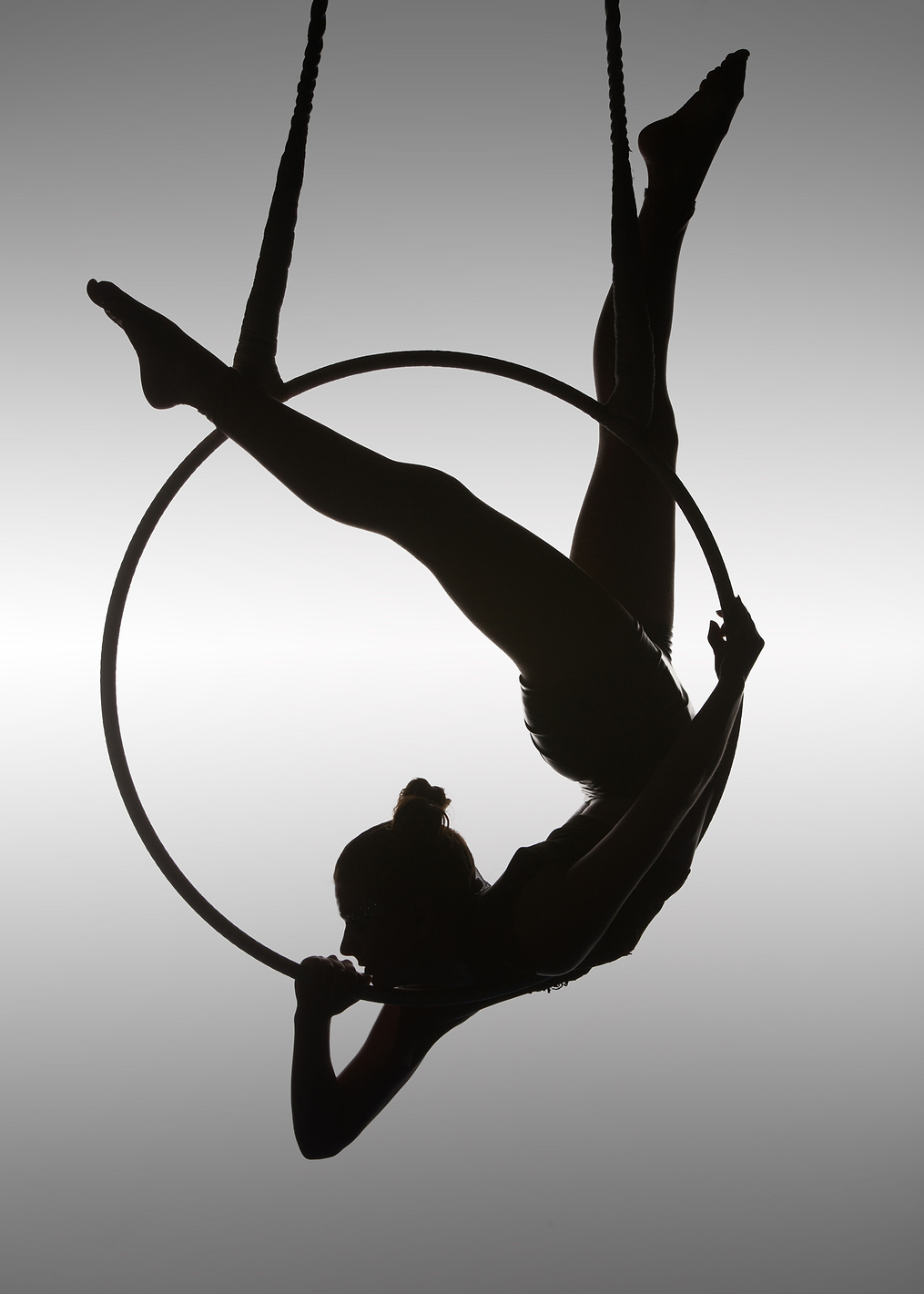 The Aerialist: постер из коллекции World Class Photos