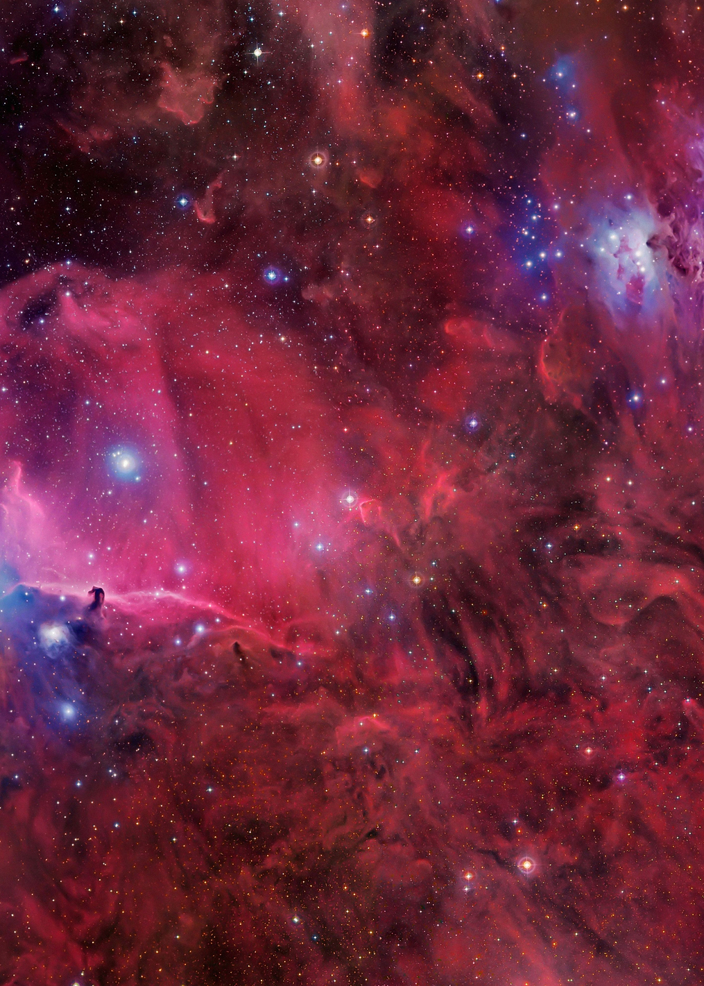 Constellation of Orion: постер из коллекции Inspired by NASA