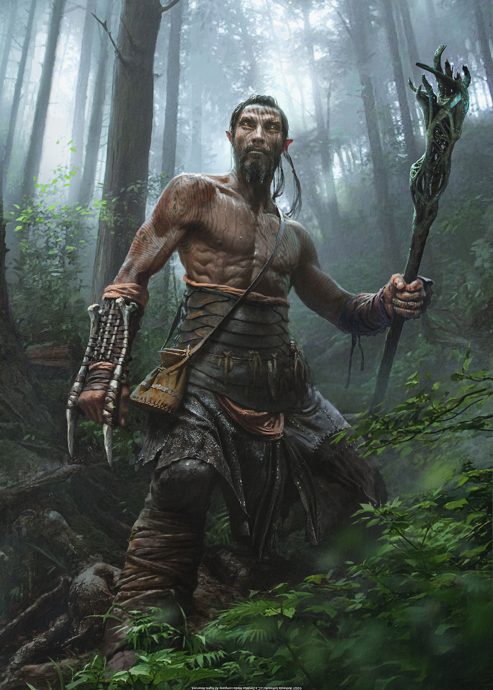 Wood Elf: постер из коллекции The Elder Scrolls