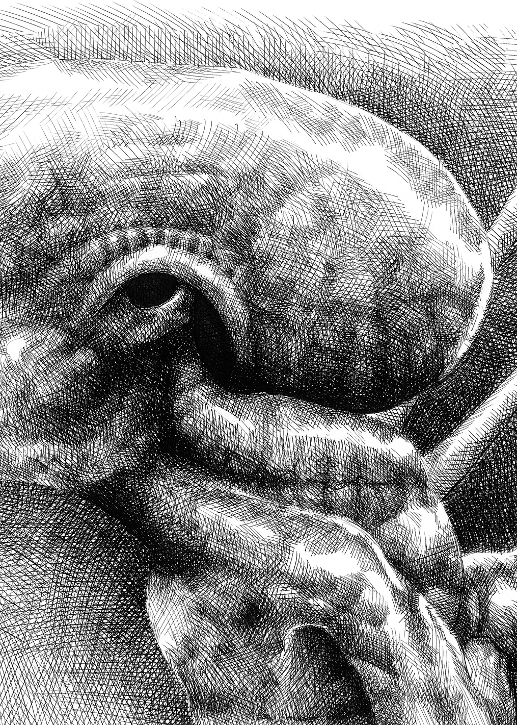 Young Alien Left Profile Sketch: постер из коллекции Alien