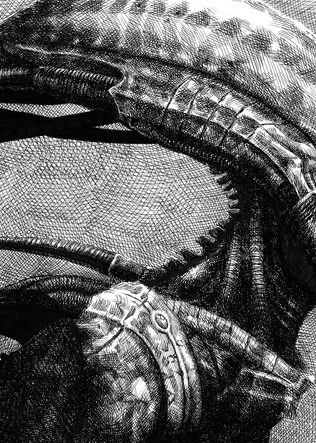 Alien Right Profile Sketch: постер из коллекции Alien