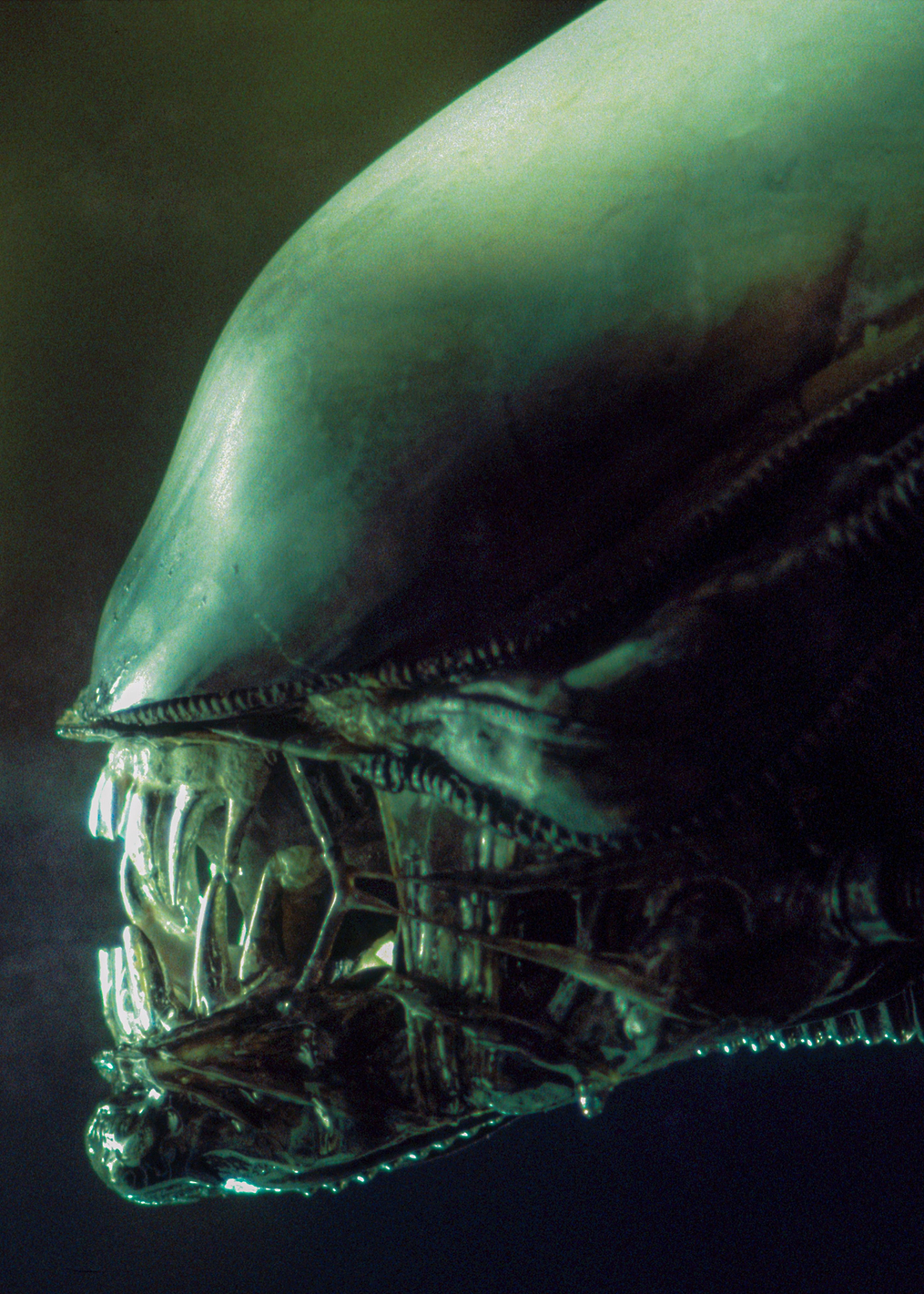 Alien`s Teeth: постер из коллекции Alien