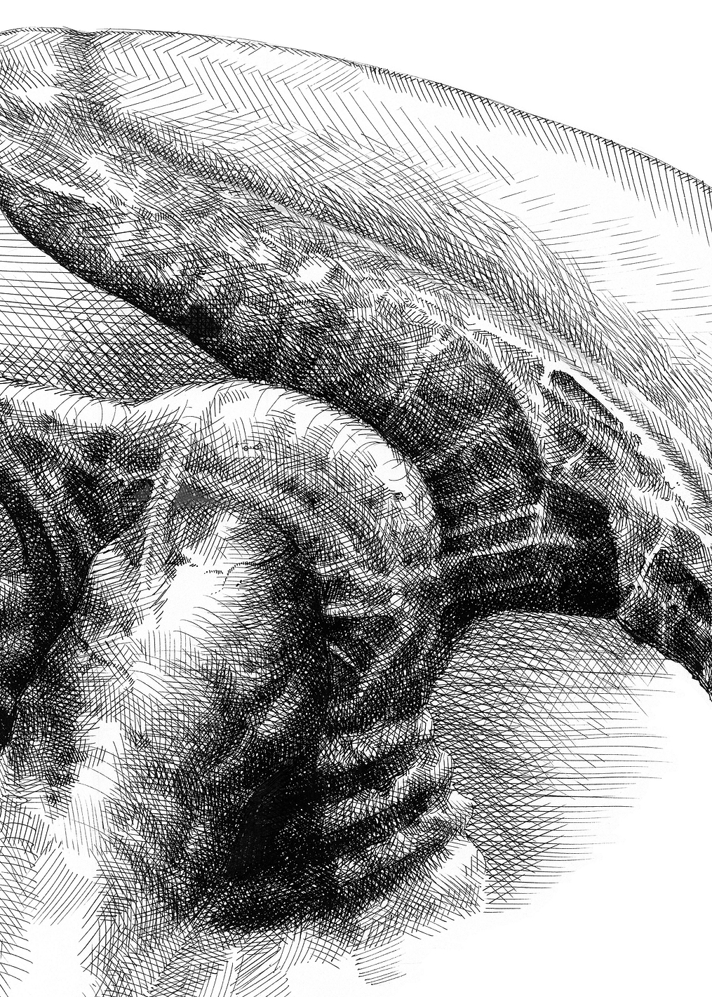 Alien Creature Profile Sketch: постер из коллекции Alien