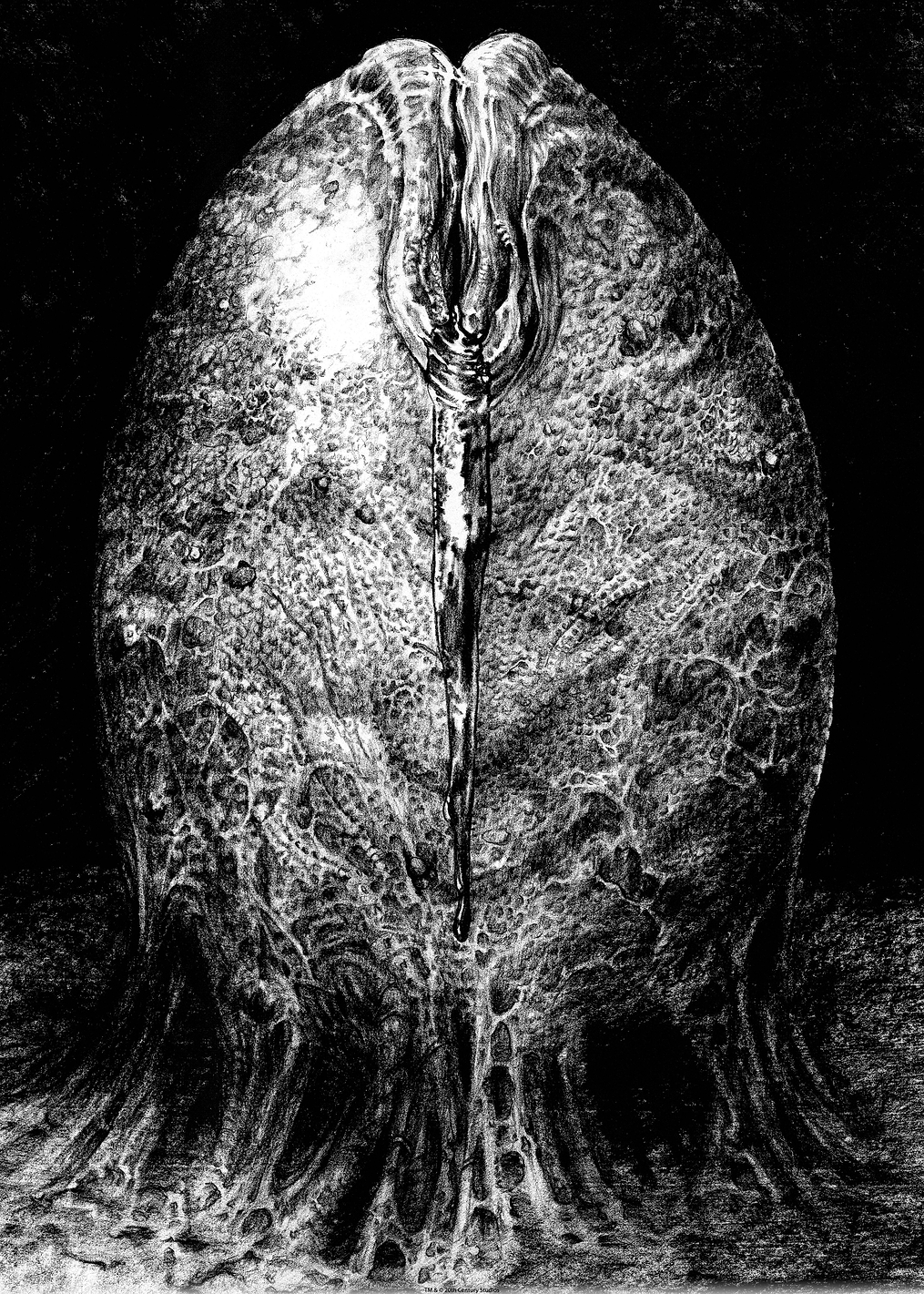 Alien Egg Stage 3 Sketch: постер из коллекции Alien