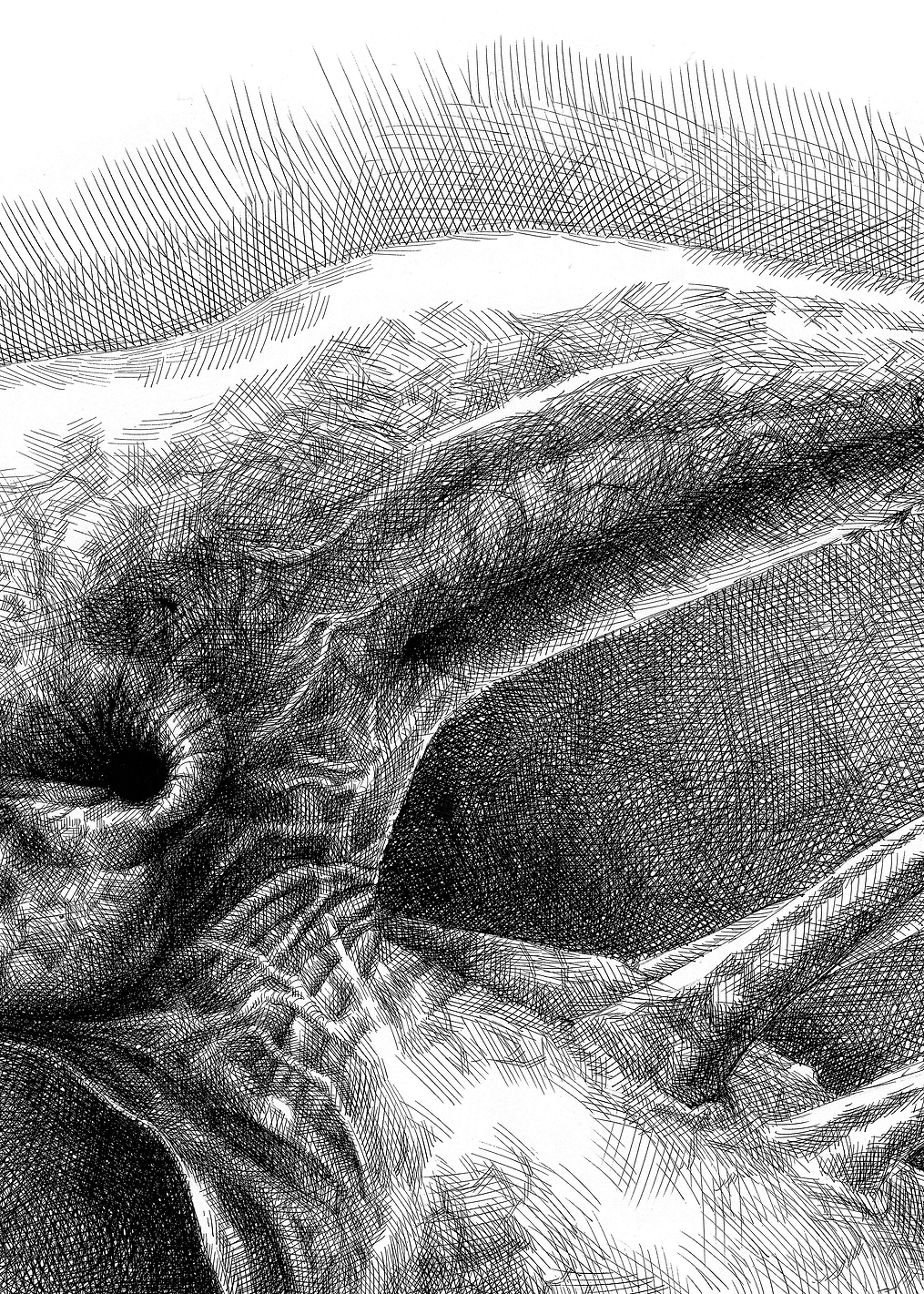 Alien Creature Left Profile Sketch: постер из коллекции Alien