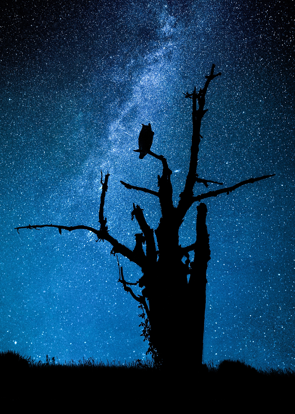Alone in the dark: постер из коллекции World Class Photos