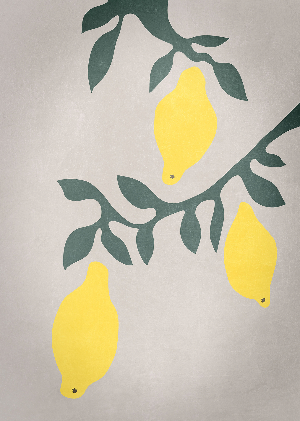 Lemons: постер из коллекции World Class Photos