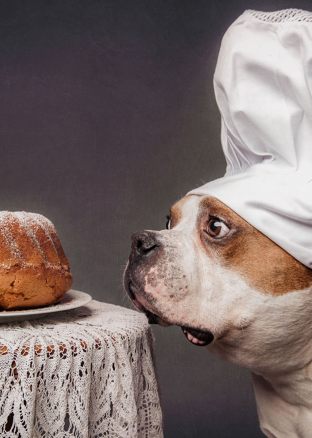 The Confectioner: постер из коллекции World Class Photos