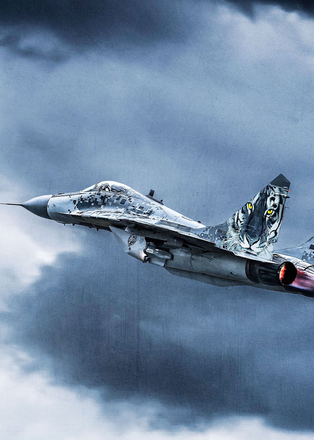 Eye of the Tiger: постер из коллекции World Class Photos