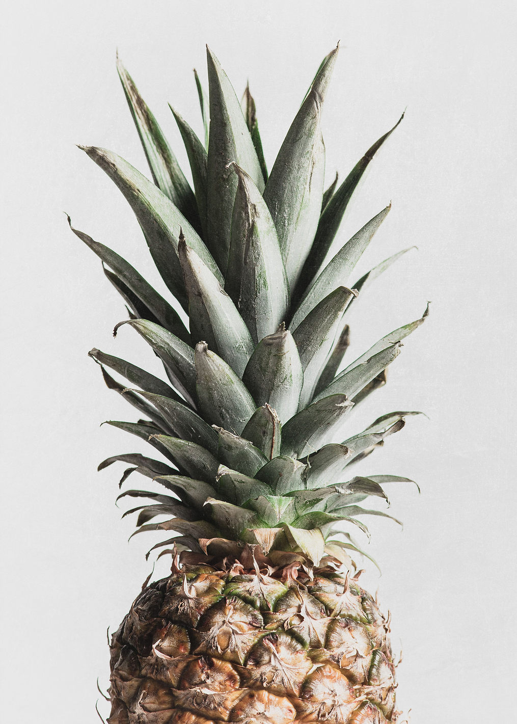 Pineapple Natural: постер из коллекции World Class Photos