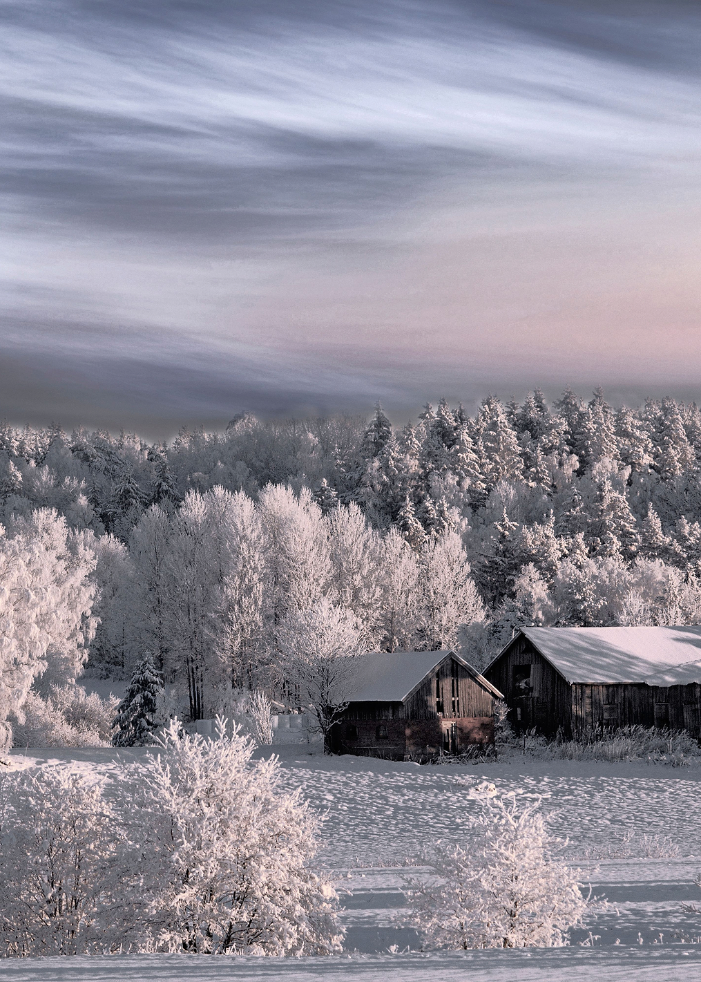 Winter morning: постер из коллекции World Class Photos