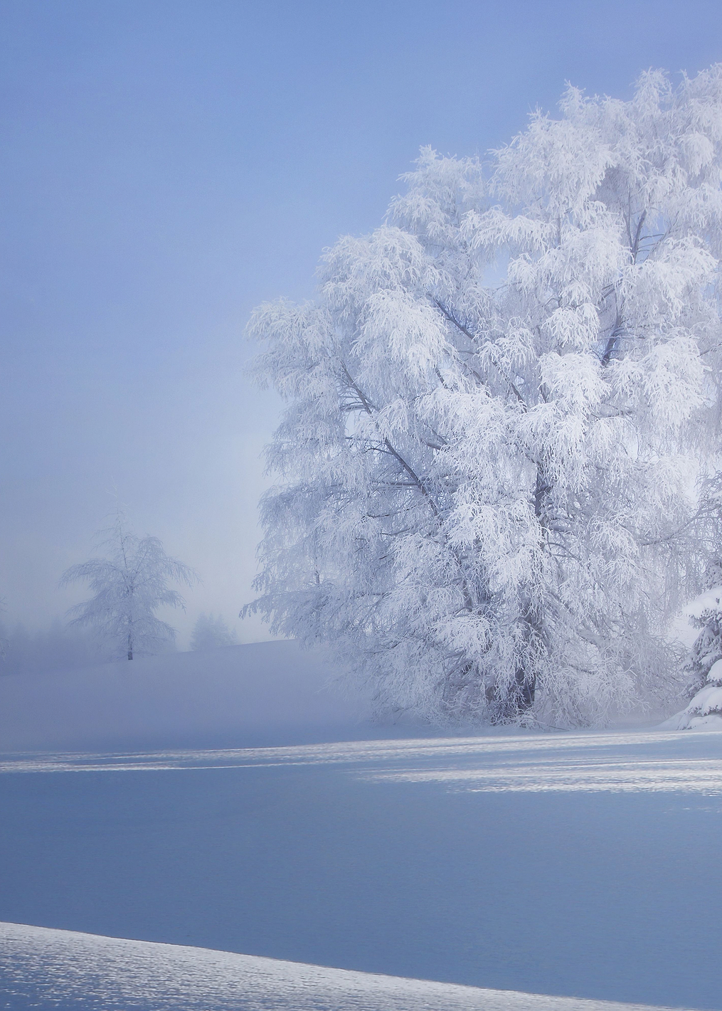 Crispy Morning: постер из коллекции World Class Photos