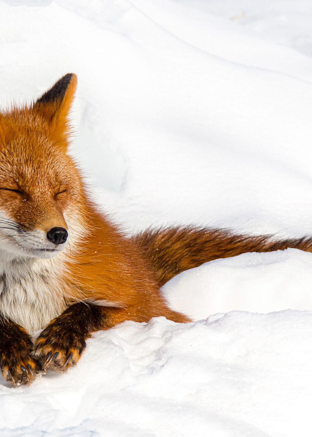 Enjoyment: постер из коллекции World Class Photos