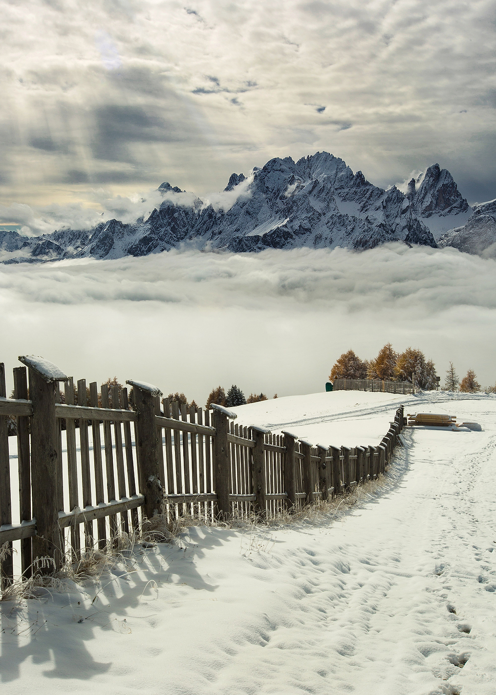 Colored Elements: постер из коллекции World Class Photos