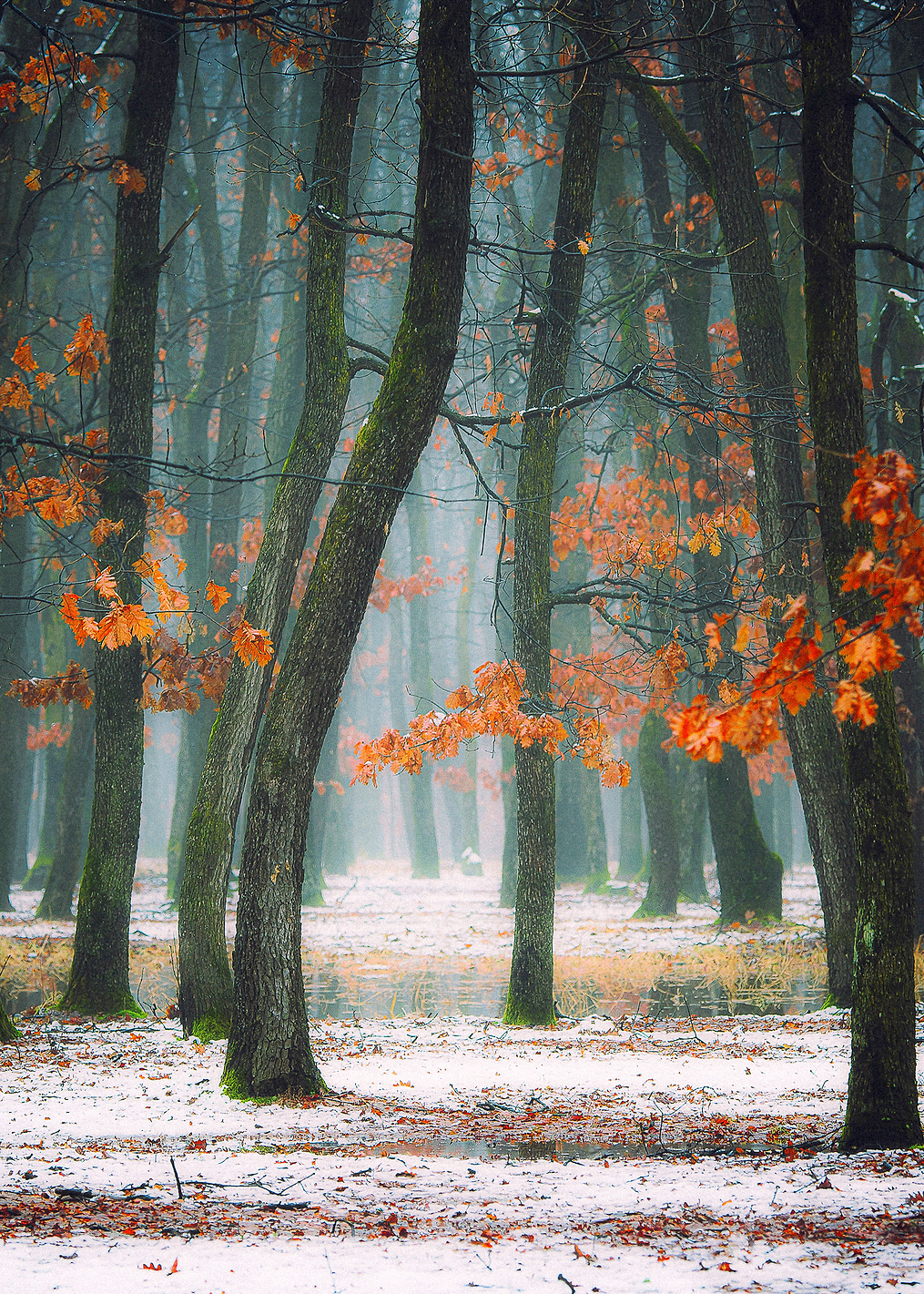 Autumn in my soul: постер из коллекции World Class Photos