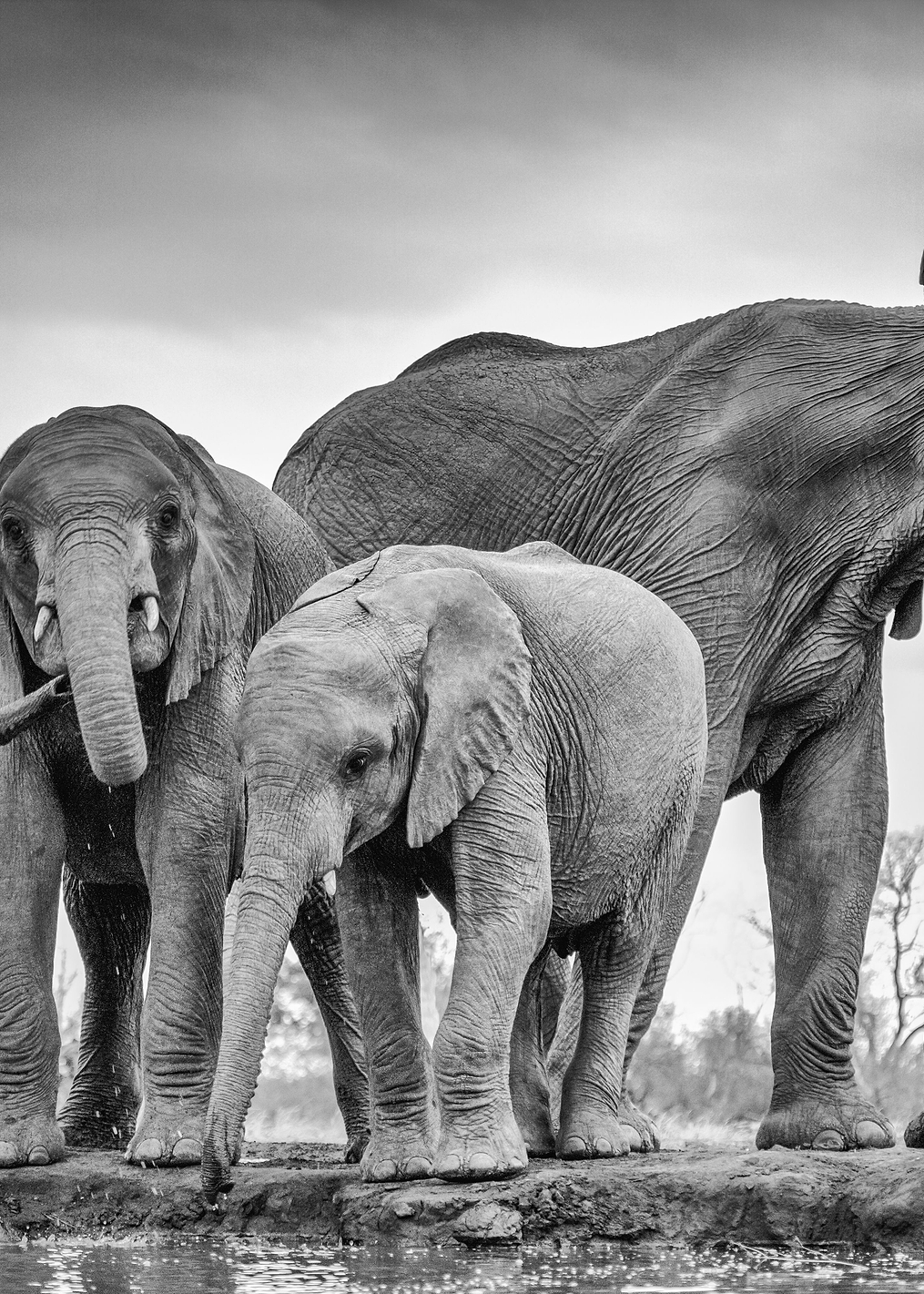 A Giant Unity: постер из коллекции World Class Photos
