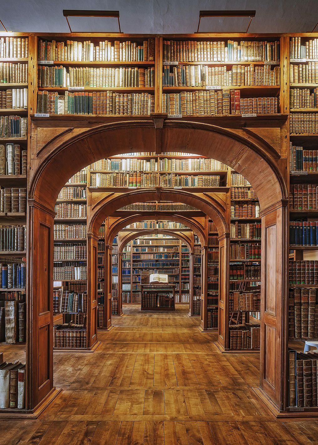 Library of Sciences: постер из коллекции World Class Photos