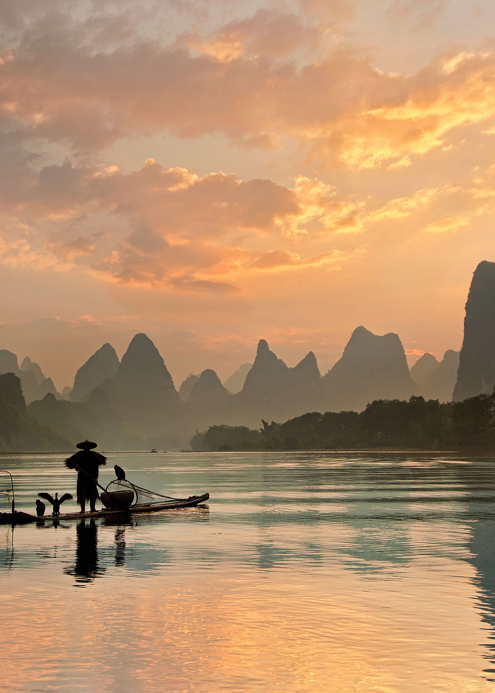 Golden Li River: постер из коллекции World Class Photos
