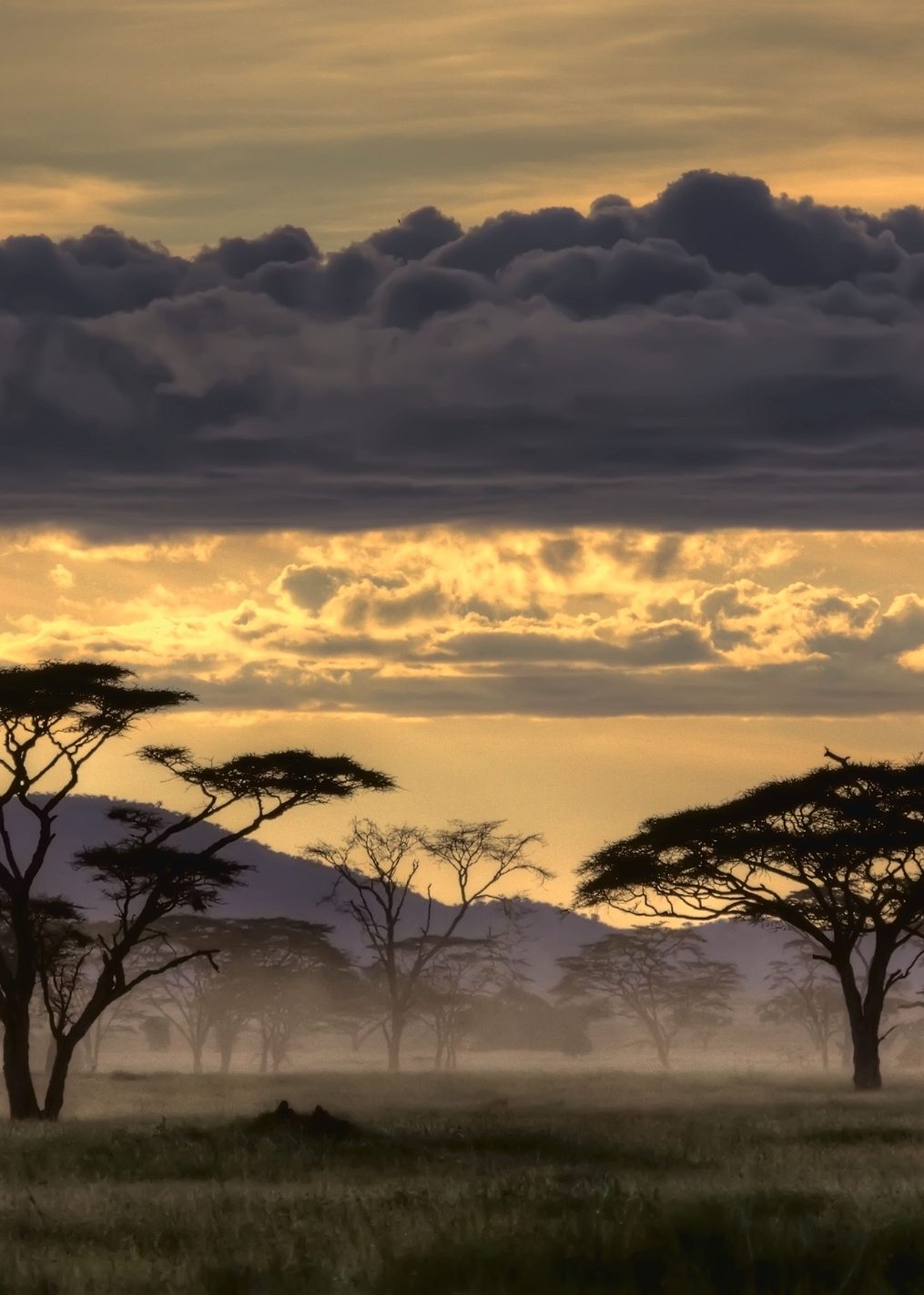 Good Evening Tanazania: постер из коллекции World Class Photos