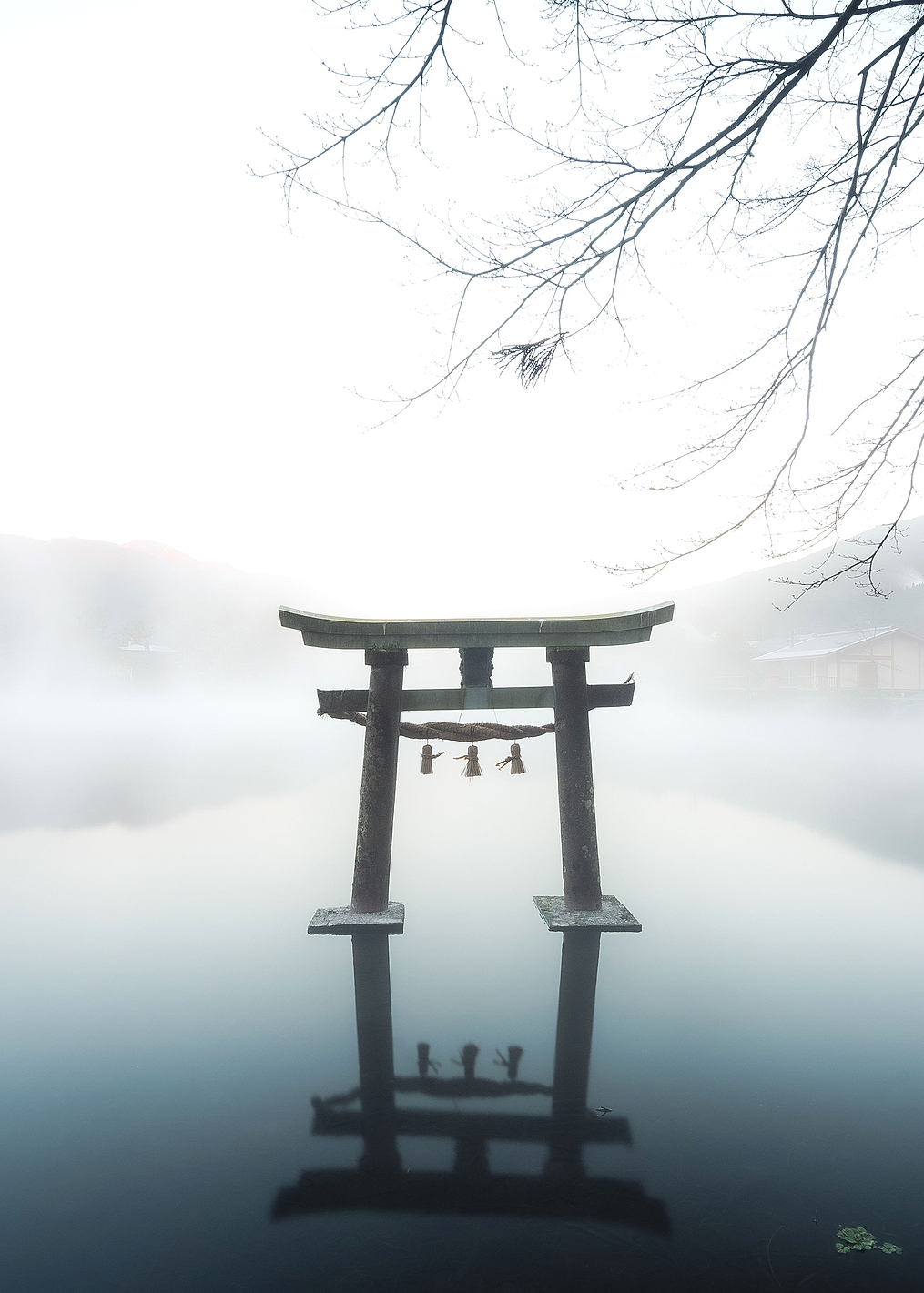Japan: постер из коллекции World Class Photos