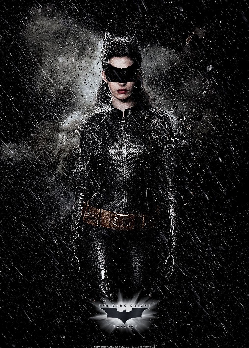 Catwoman: постер из коллекции DC Comics