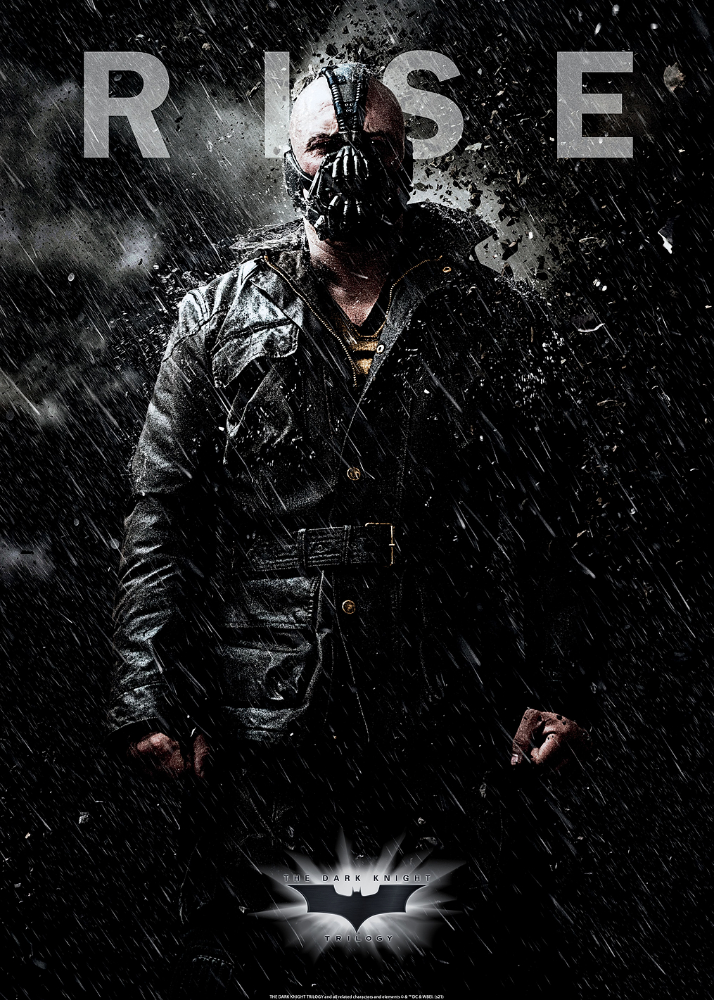 Rise Bane: постер из коллекции DC Comics