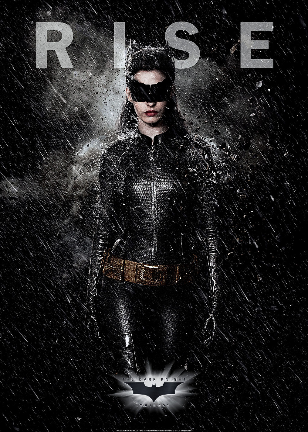 Rise Catwoman: постер из коллекции DC Comics