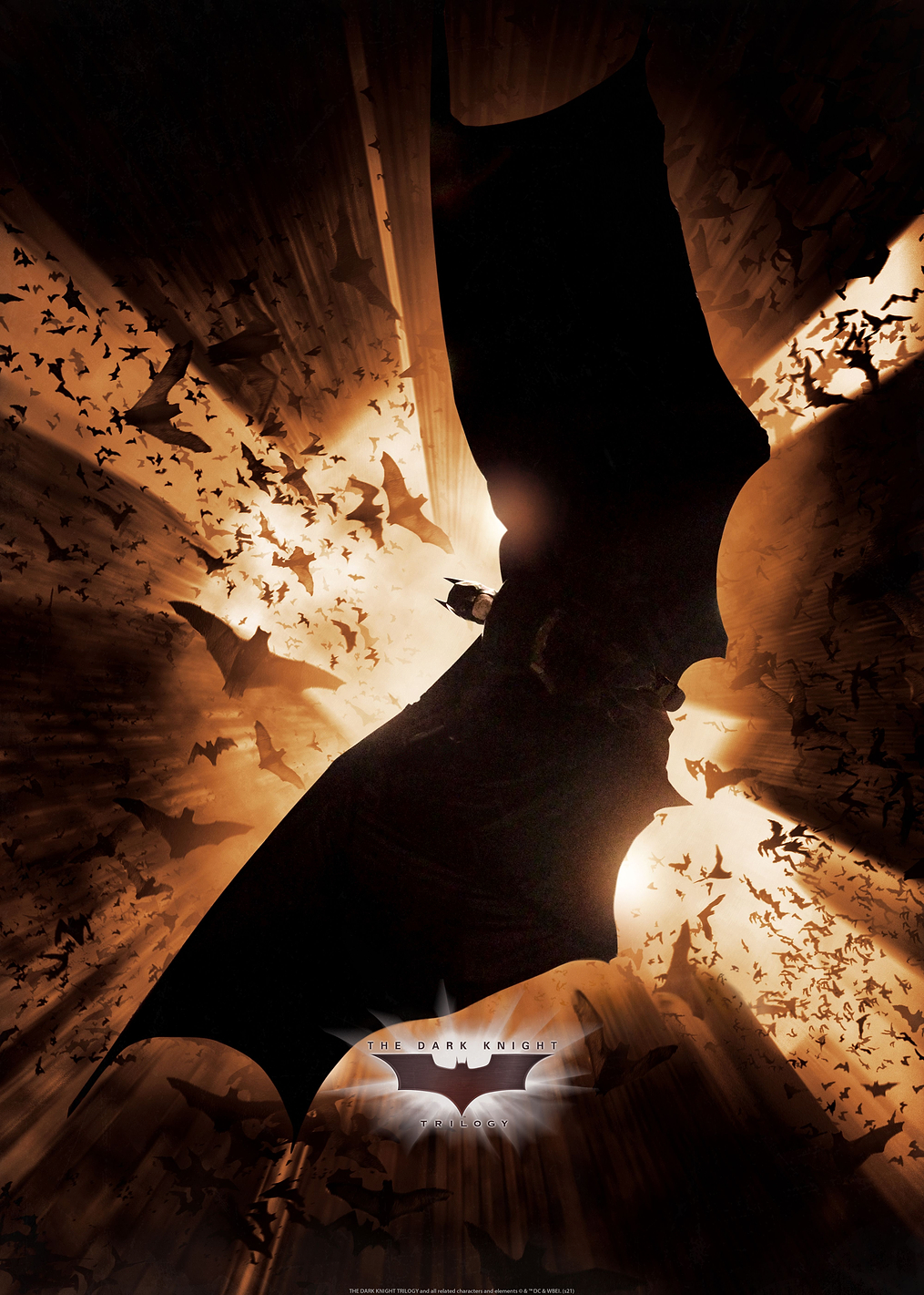 Batman Begins Movie Art 5: постер из коллекции DC Comics