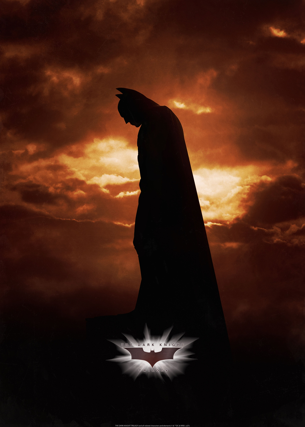 Batman Begins Movie Art 1: постер из коллекции DC Comics