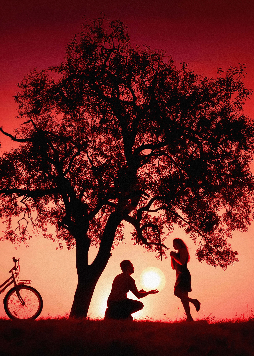 Sun for You: постер из коллекции World Class Photos