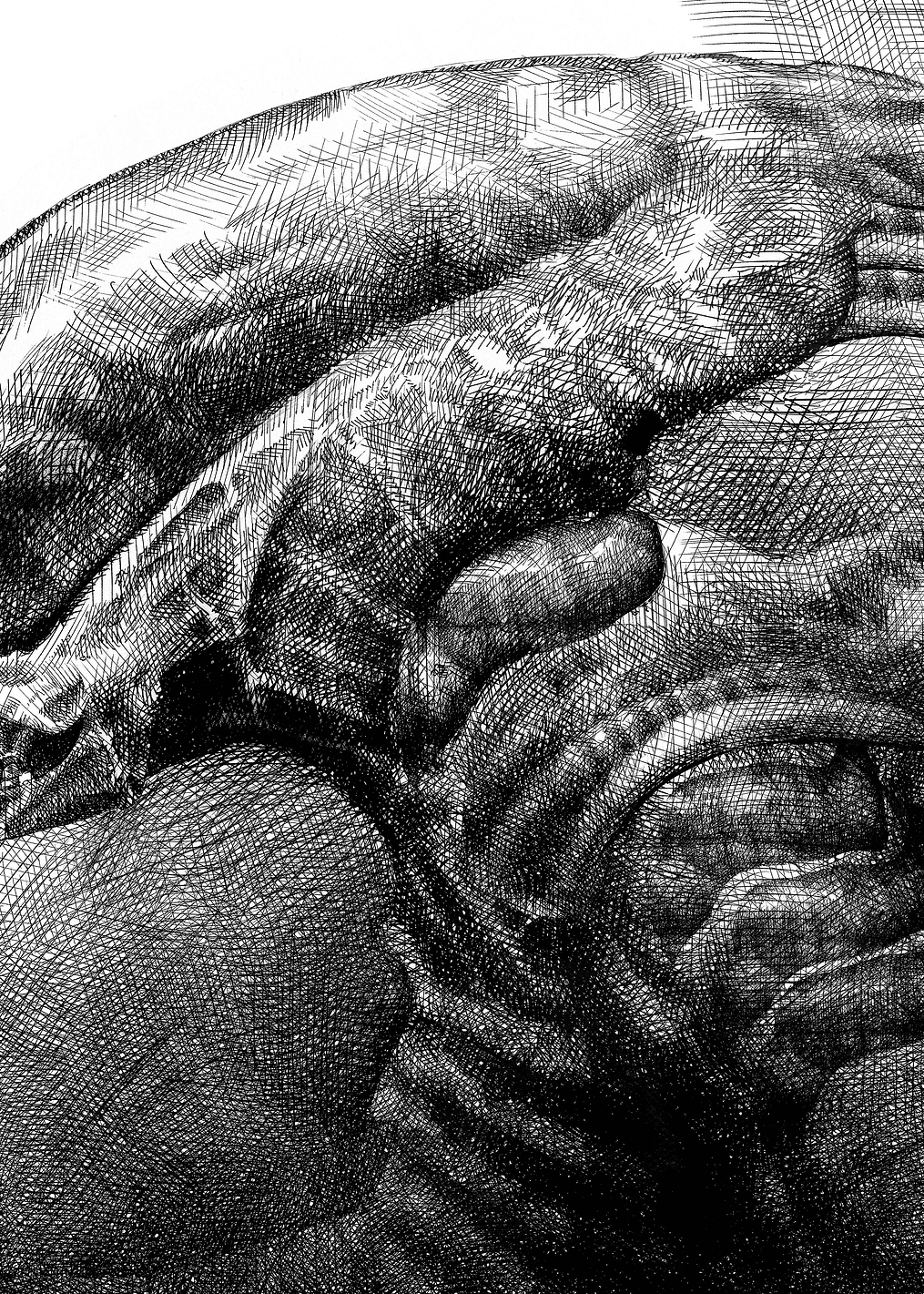 Alien left profile sketch: постер из коллекции Alien