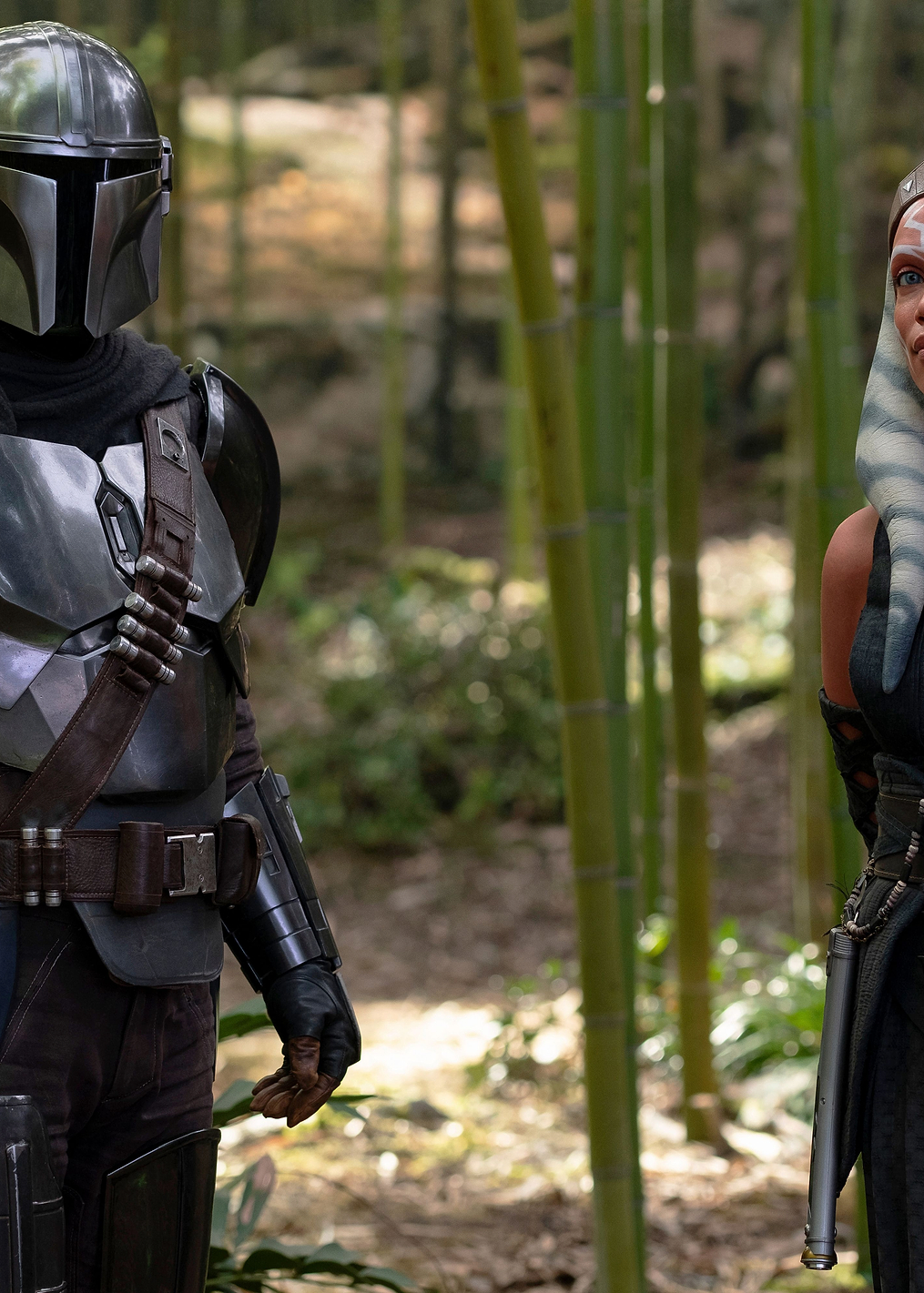 Chapter 6: From the Desert Comes a Stranger - 1: постер из коллекции Star Wars