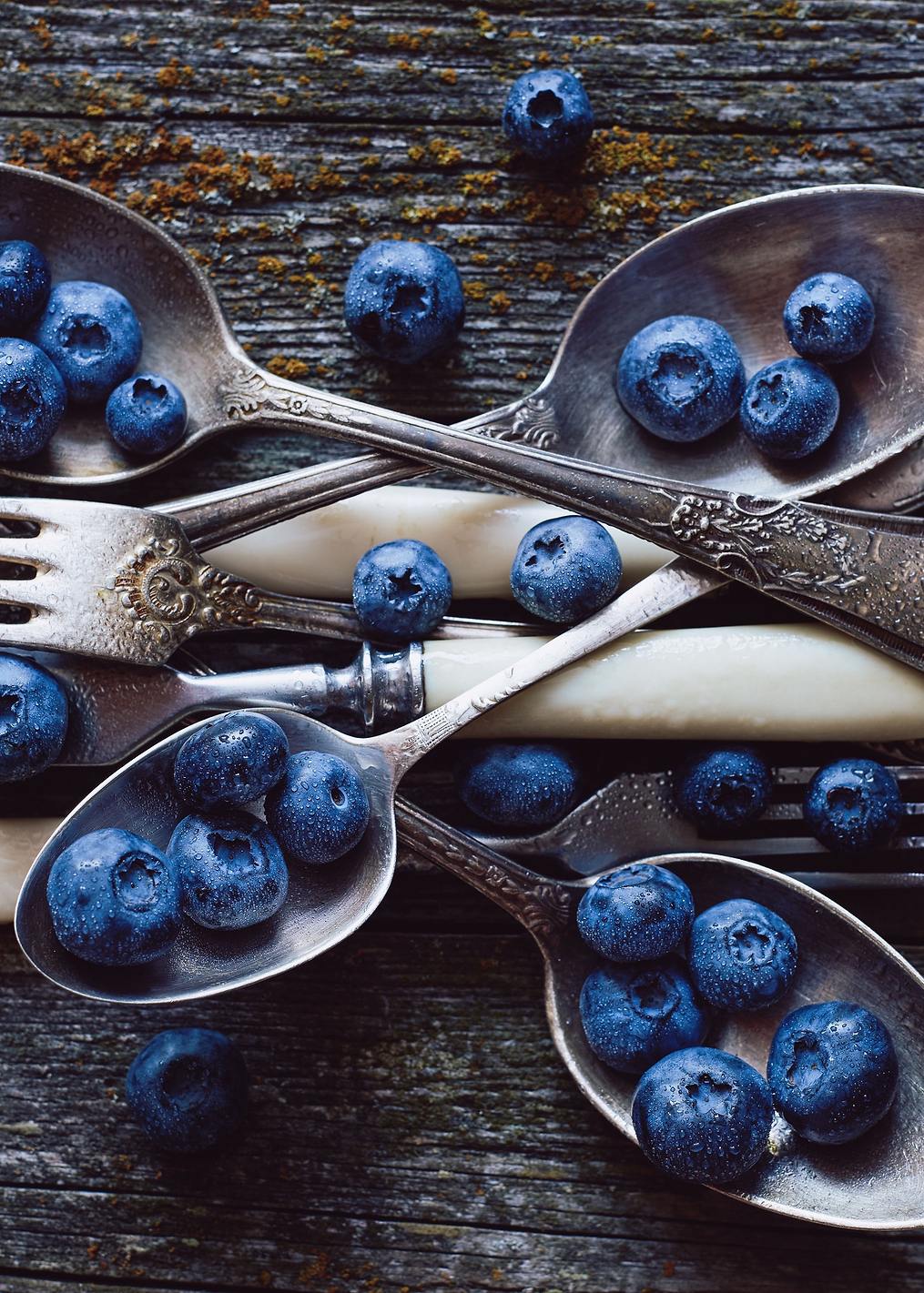Blueberry spoon: постер из коллекции World Class Photos