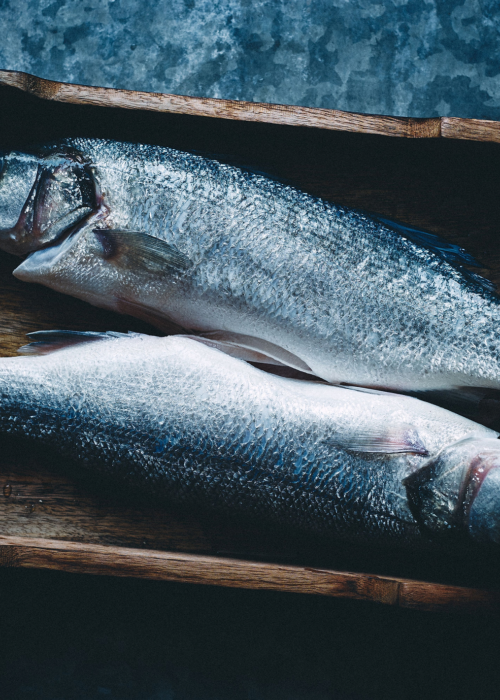 Two fishes: постер из коллекции World Class Photos