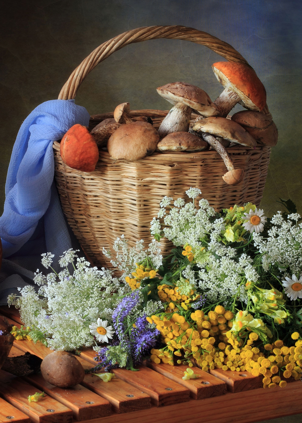 Forest mushrooms: постер из коллекции World Class Photos