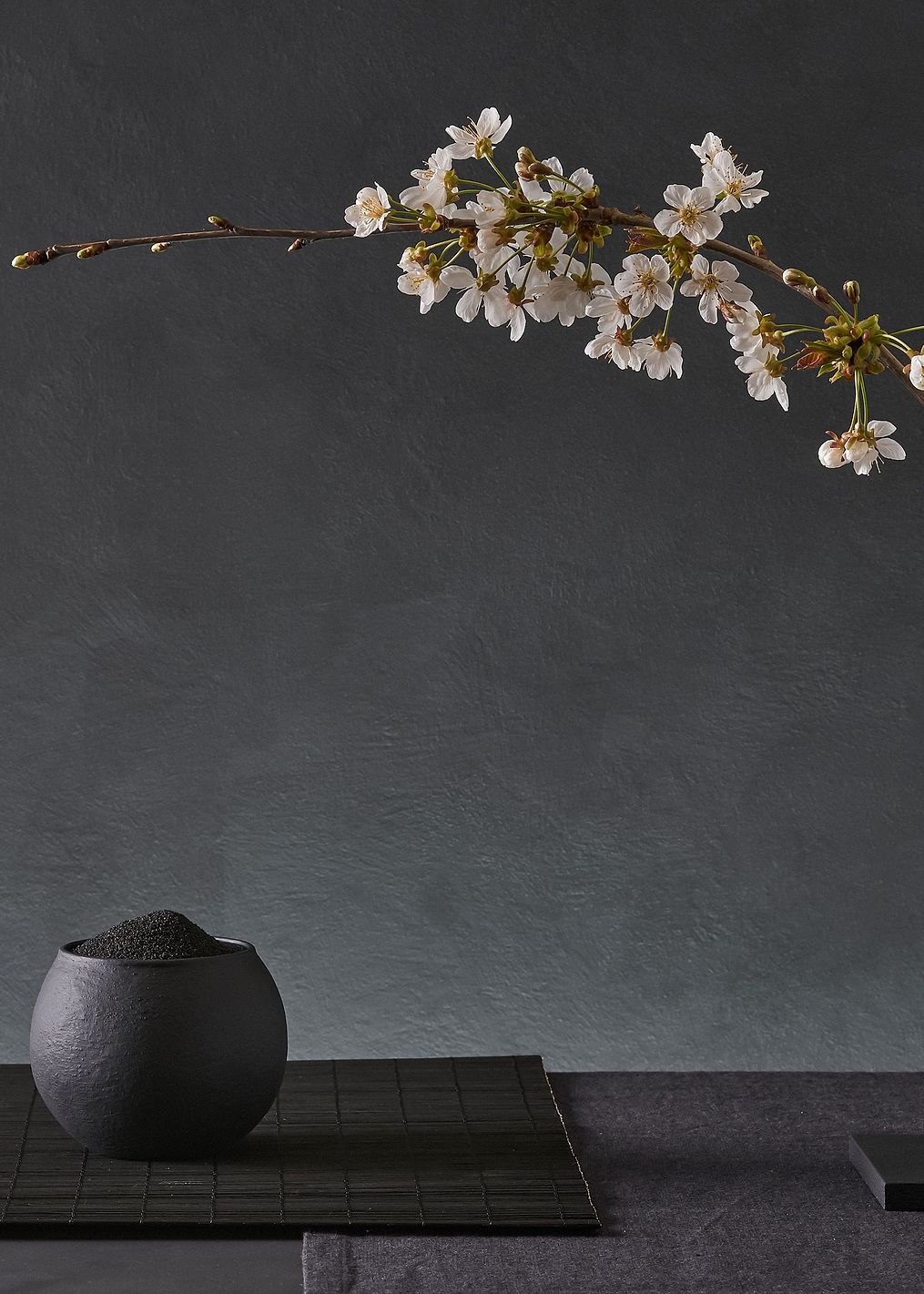 Prunus Avium: постер из коллекции World Class Photos