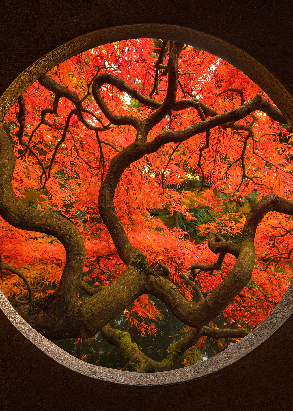 Autumn Sense: постер из коллекции World Class Photos