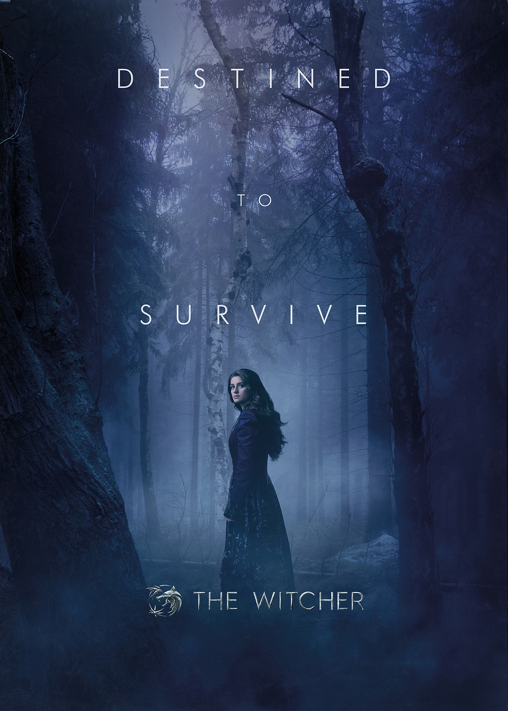 Destined to Survive: постер из коллекции The Witcher Series