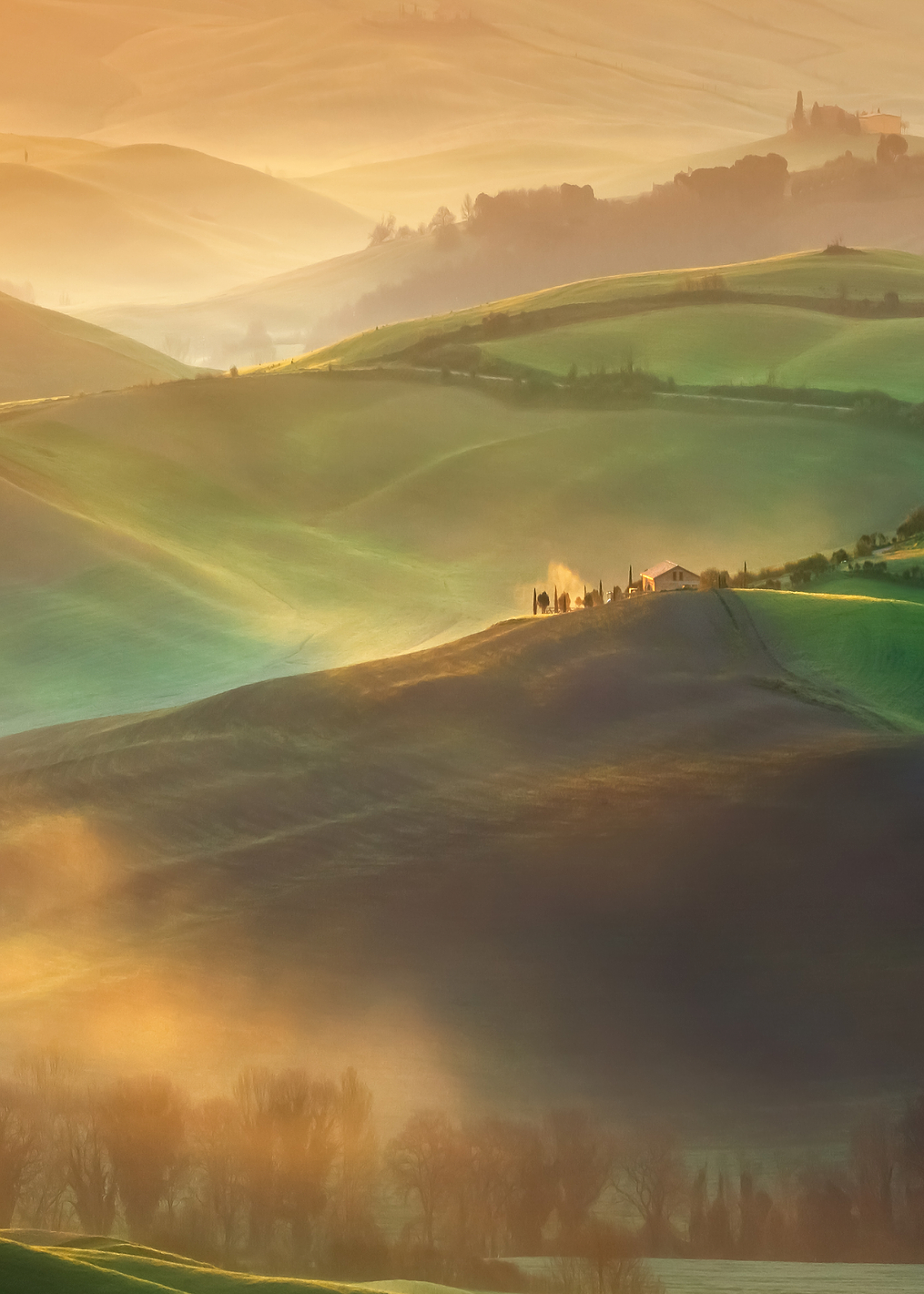 Morning Dreams: постер из коллекции World Class Photos