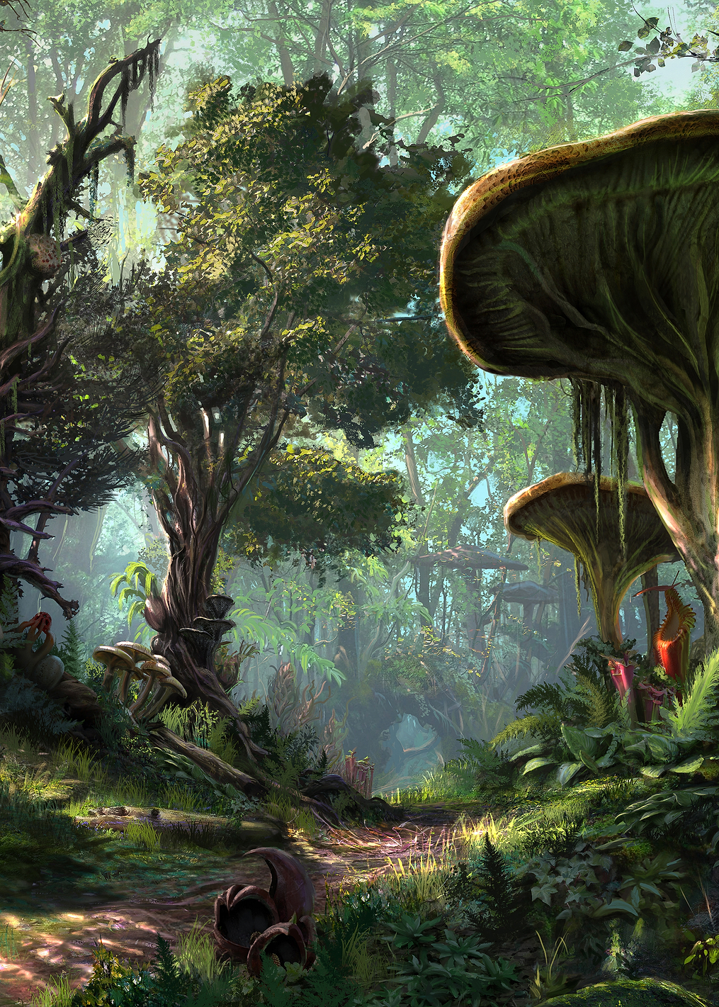 Morrowind Forest: постер из коллекции The Elder Scrolls
