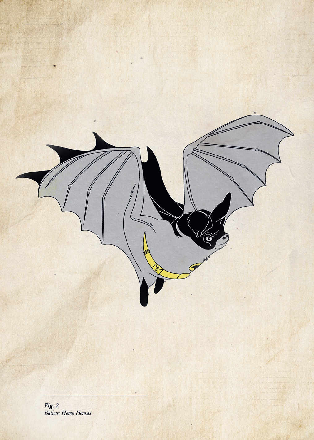 Baticus Homo Herosis: постер из коллекции DC Comics
