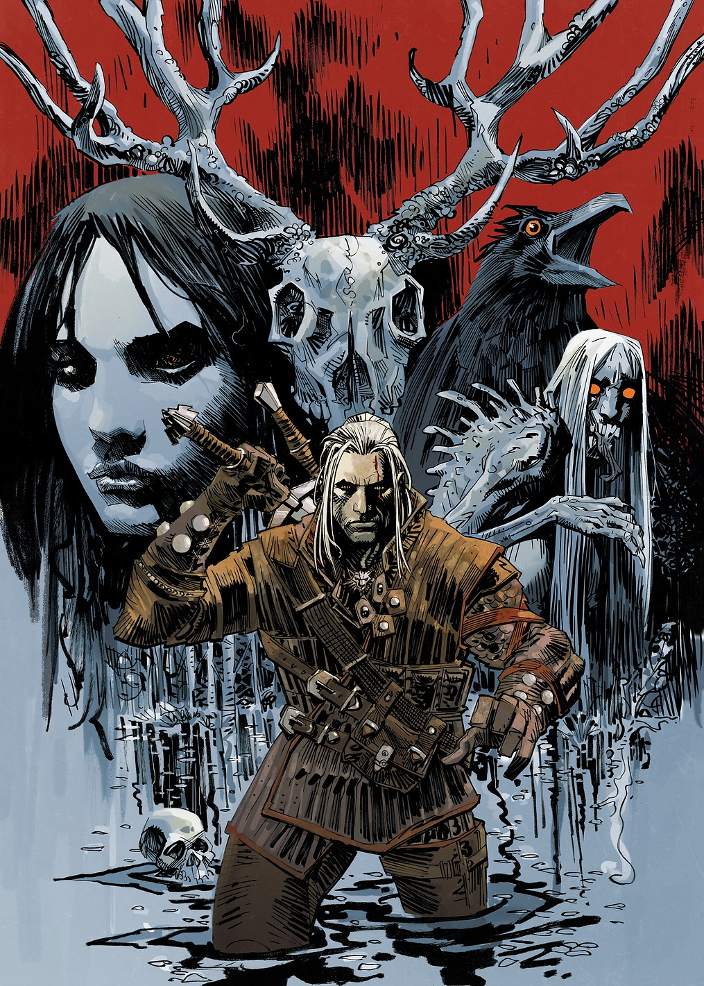 Witcher Dark Horse Cover: постер из коллекции The Witcher