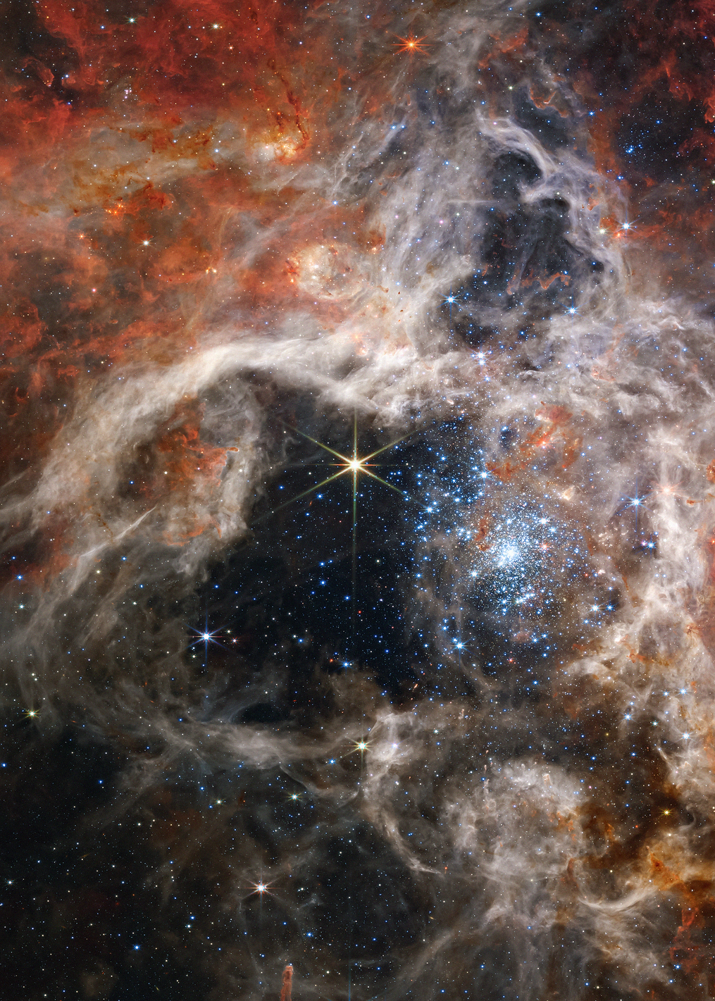 Tarantula Nebula: постер из коллекции Inspired by NASA