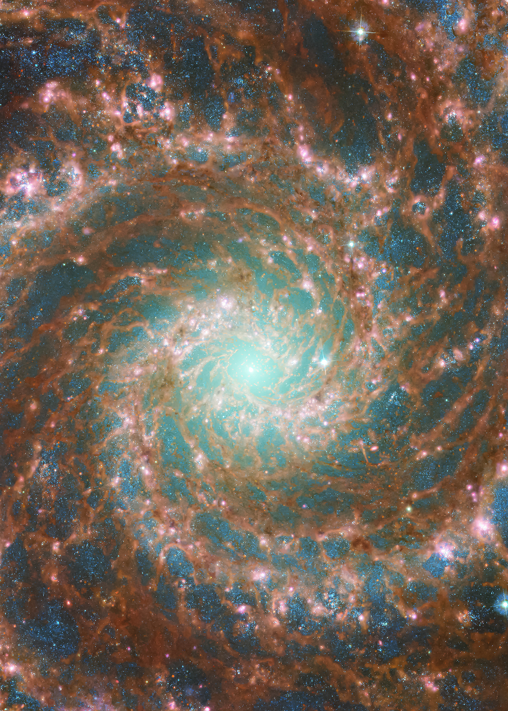 Phantom Galaxy: постер из коллекции Inspired by NASA