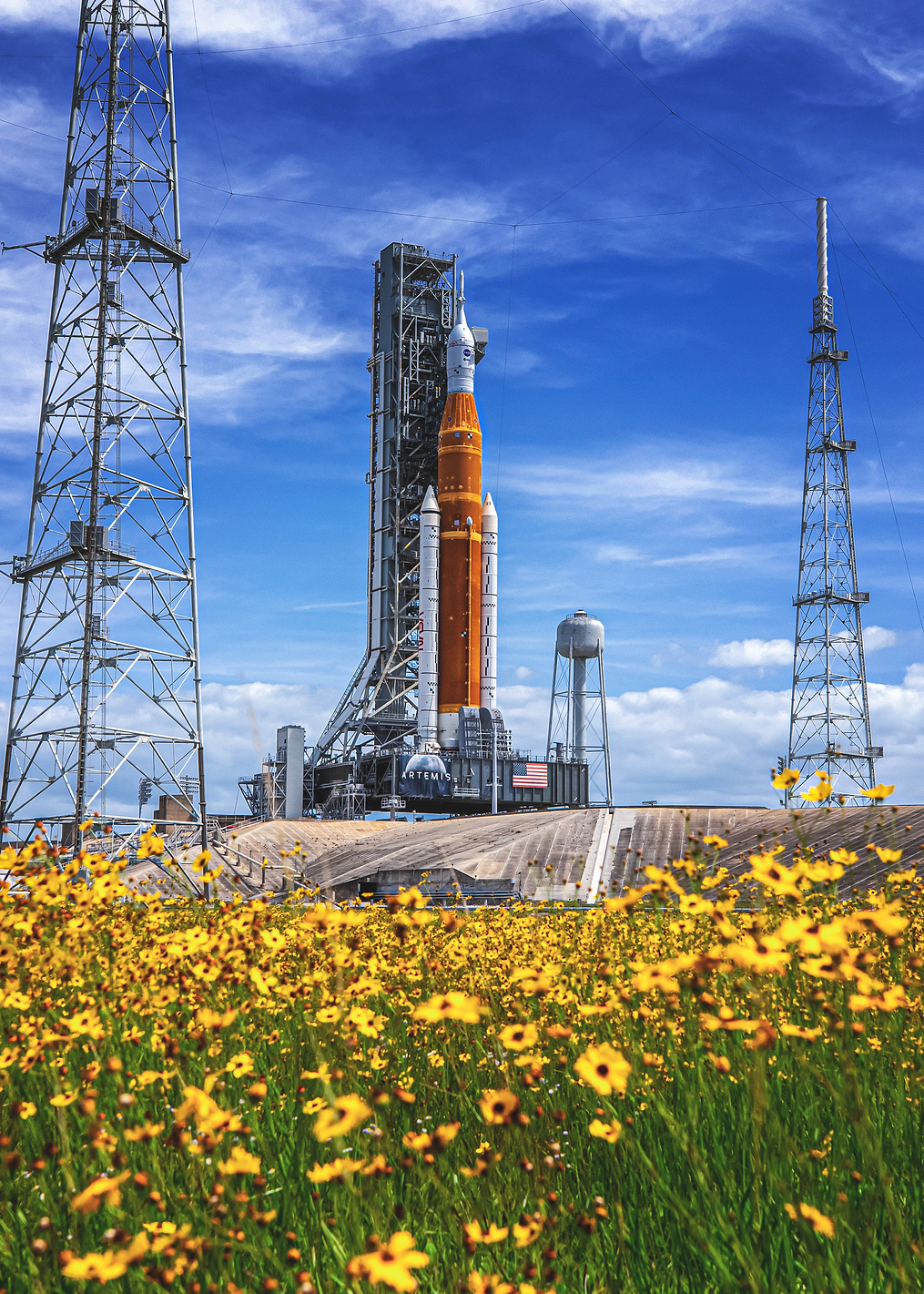 Artemis in flowers: постер из коллекции Inspired by NASA